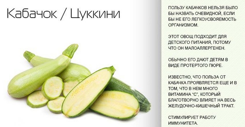 Користь кабачка Користь кабачка
