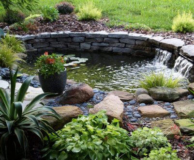 Водойма в ландшафтному дизайні