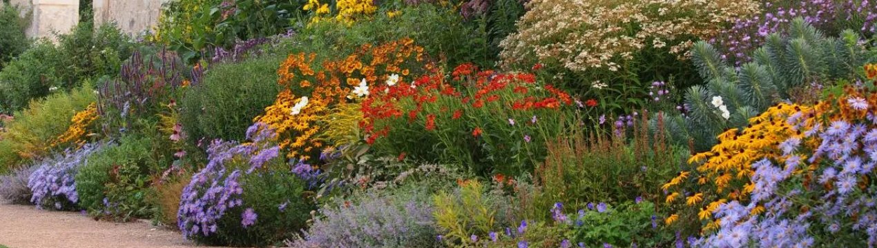 Міксбордер у ландшафтному дизайні: вибір рослин і інструкція з роботи власноруч