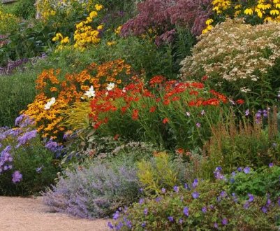 Міксбордер у ландшафтному дизайні: вибір рослин і інструкція з роботи власноруч