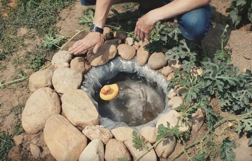 Декорування ставка із покришки Декорування ставка із покришки