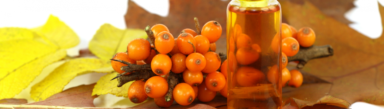 Чому обліпихова олія є такою корисною і такою хитромудрою?