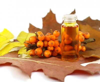 Чому обліпихова олія є такою корисною і такою хитромудрою?