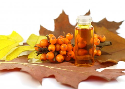 Чому обліпихова олія є такою корисною і такою хитромудрою?