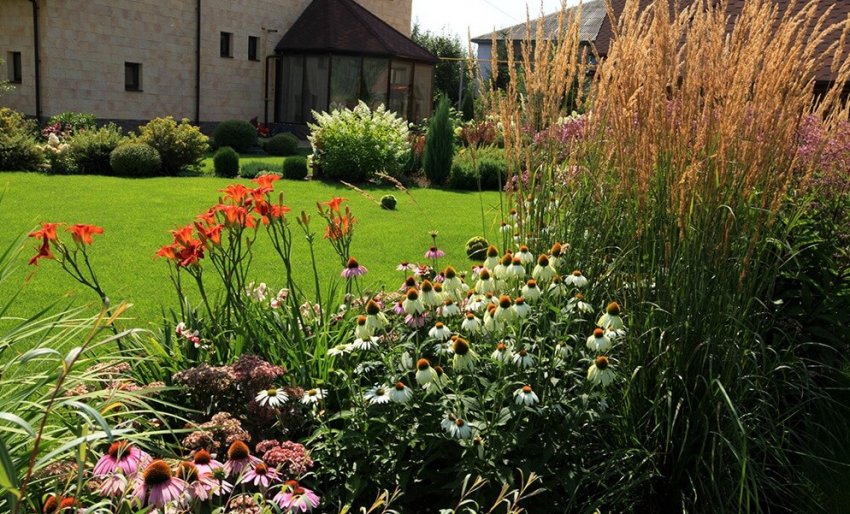 Лучний міксбордер