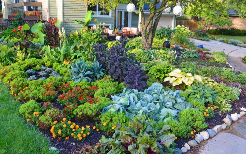 Огородний міксбордер