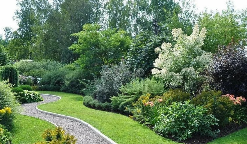 Кущовий міксбордер