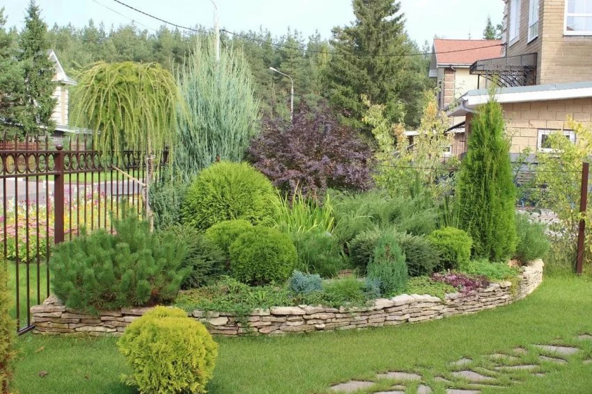 Хвойний міксбордер