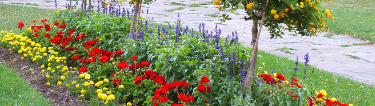 Застосування рабатки в ландшафтному дизайні: особливості формування та створення