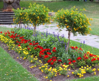Застосування рабатки в ландшафтному дизайні: особливості формування та створення