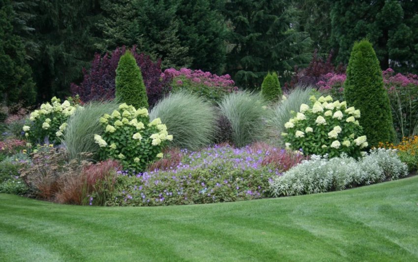 Багаторічний міксбордер