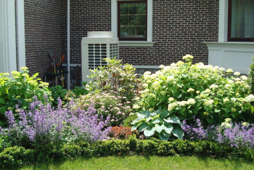 Кущовий міксбордер