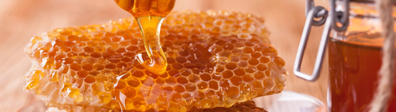 Солодкий спаситель: користь меду в ветеринарії