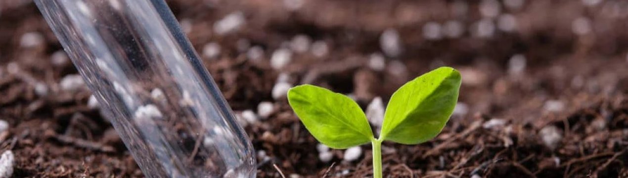 Накопичилось: в Башкортостані закуплено близько 4 тисяч тонн добрив на весняне посівання