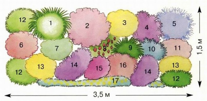 Варіант клумби