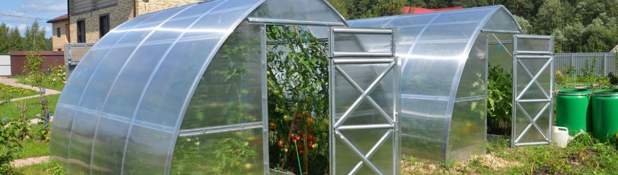 Росія вкладає понад 1 тисячу гектарів високотехнологічних тепличних площадей