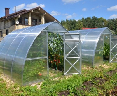 Росія вкладає понад 1 тисячу гектарів високотехнологічних тепличних площадей