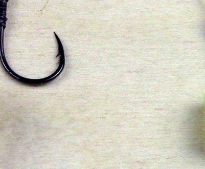 Як приготувати картоплю для лову сазана