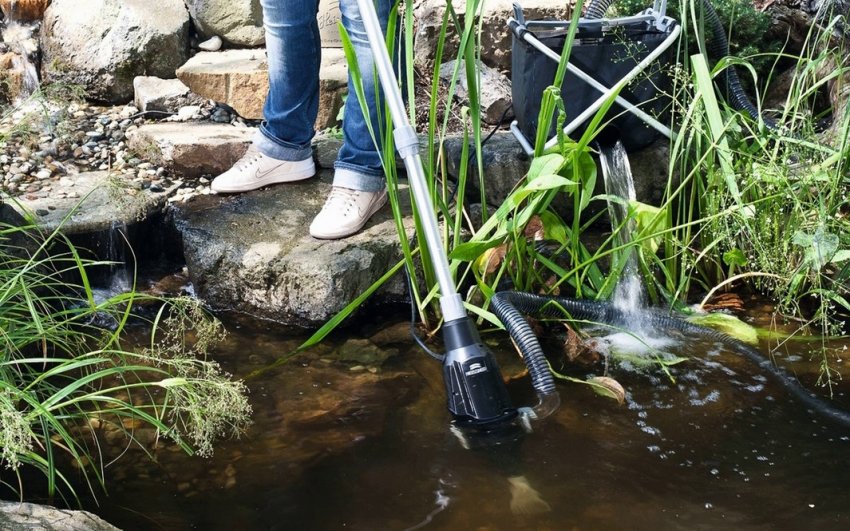 Чистка пруда Чистка пруда