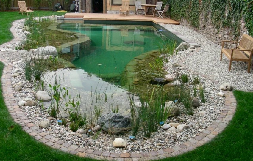 Декоративний ставок у ландшафті Декоративний ставок у ландшафті