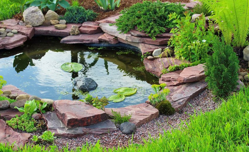 Оформлення пруда Оформлення пруда