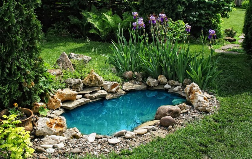 Водойма на ділянці