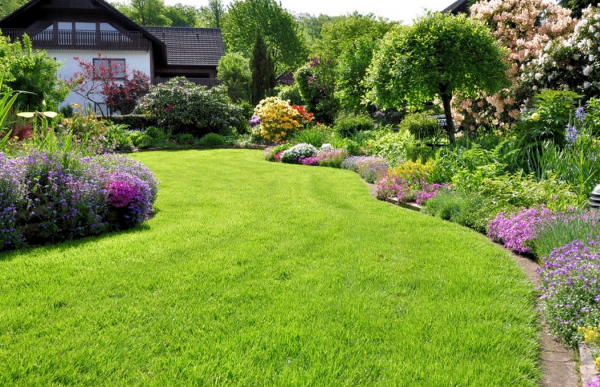 Садовий газон