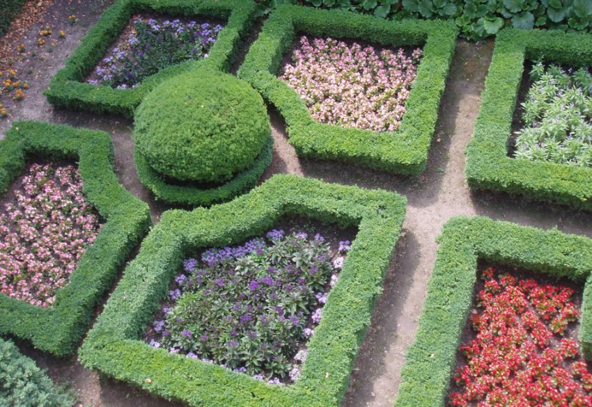 Регулярна клумба