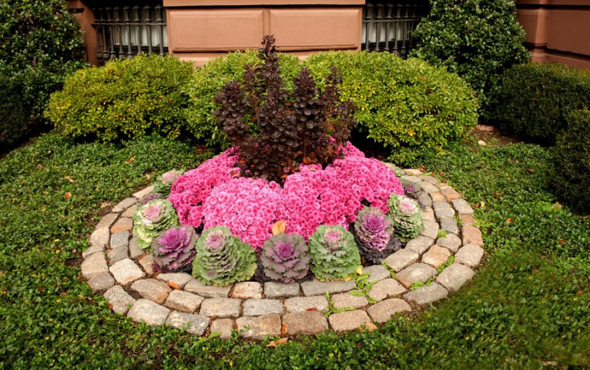 Центральна клумба