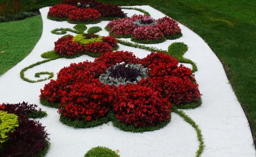 Квітковий город у вигляді квіту