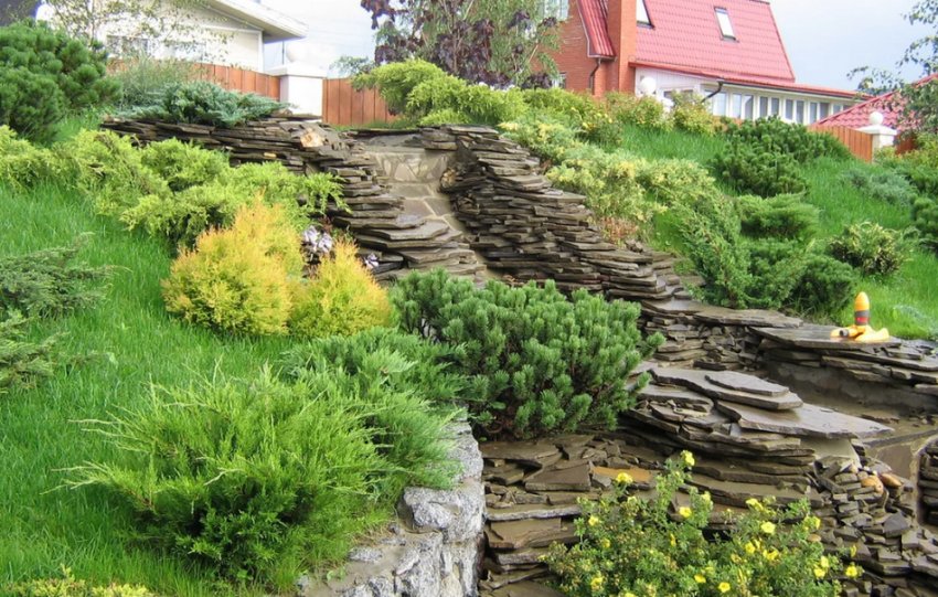 Альпінарій гірський схил