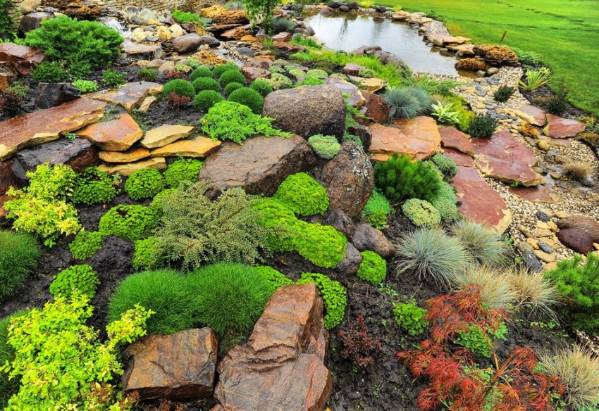 Альпінарій