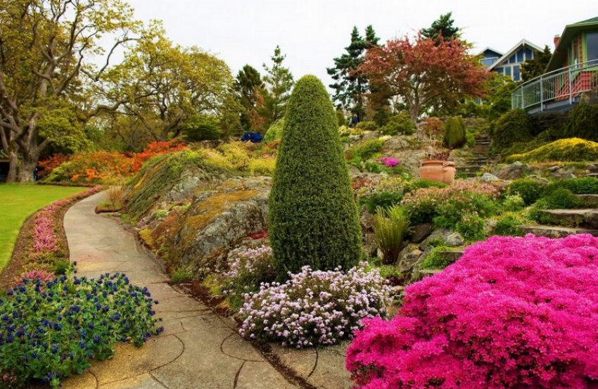 Альпінарій гірська долина