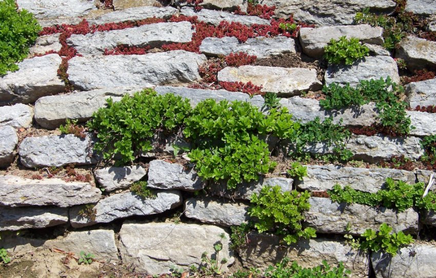 Кам'яна стіна