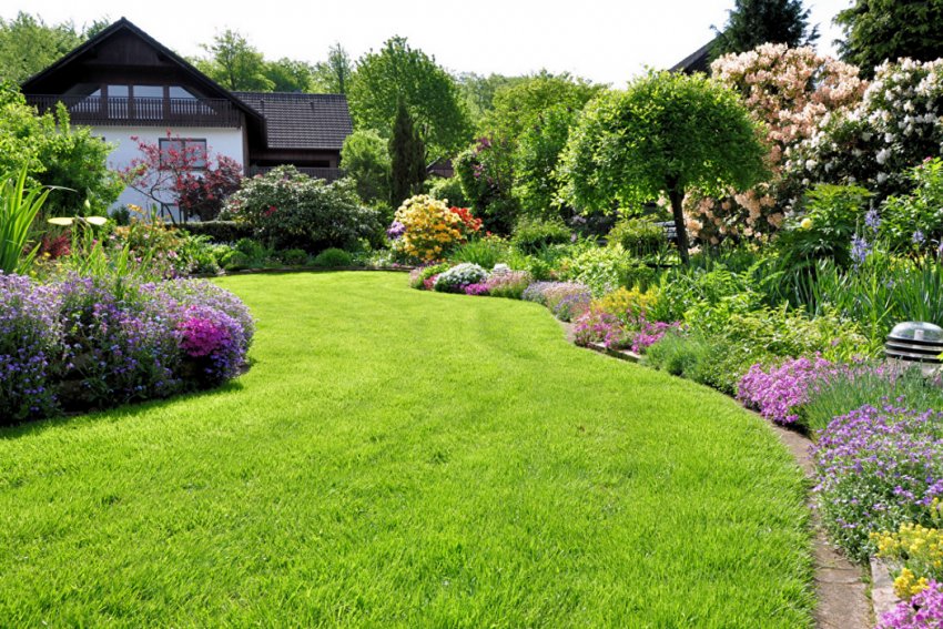 Газон у саду