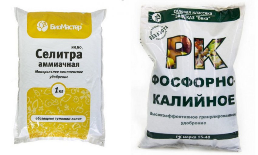 Підживлення для рододендрона Підживлення для рододендрона
