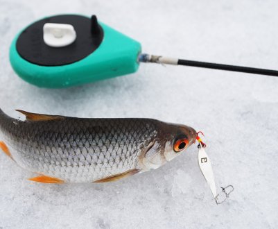 Ловля риби на мормишечну вудку