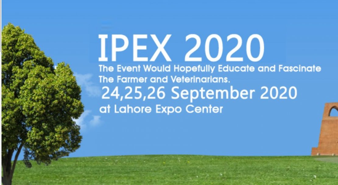 International Poultry Expo 2020