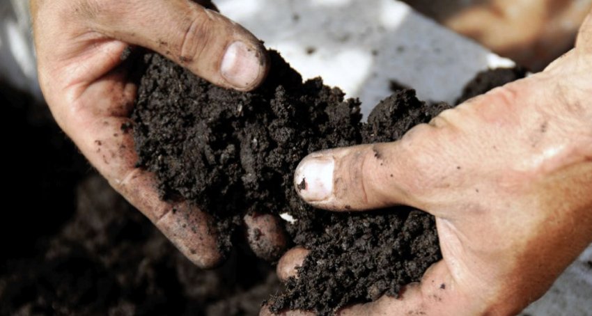 Ґрунт Ґрунт