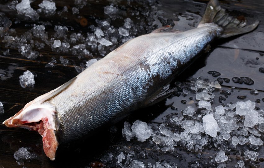 Купівля риби Купівля риби