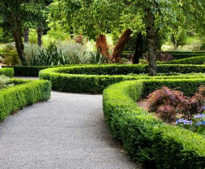 Екоcтиль в пейзажному дизайні, його основні риси