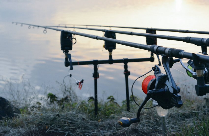 Електронні вудилища