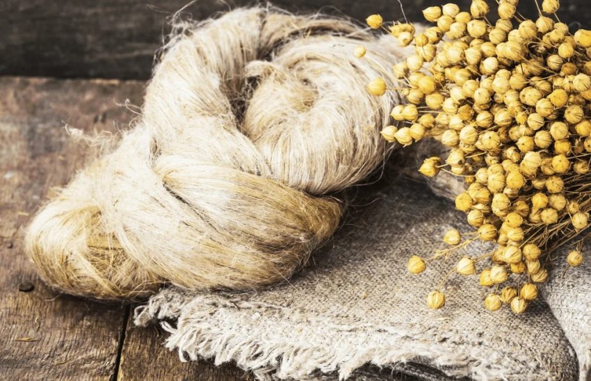 У «Сварог Вест Груп» почнуть вирощувати органічний льон У «Сварог Вест Груп» почнуть вирощувати органічний льон