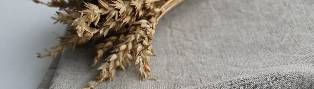 У "Сварог Вест Групп" почнуть вирощувати органічний льон