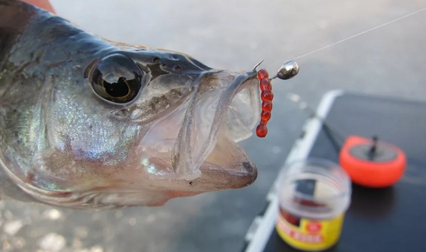 Ловля риби на мормишку