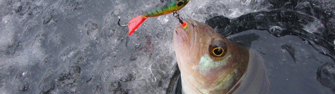 Зимова риболовля на балансир