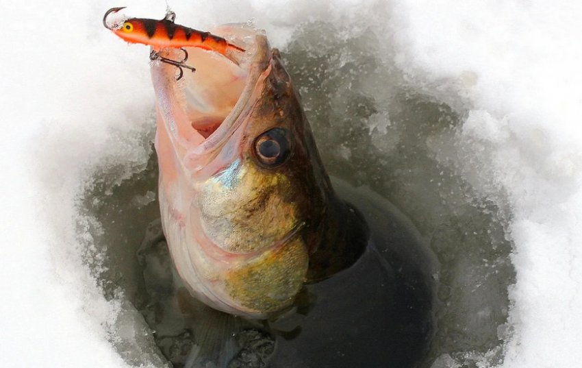 Пластиковий балансир на риболовлі