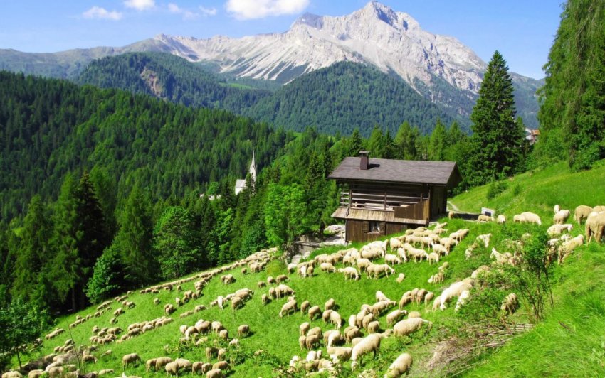 Неврожай в Австралії триває третій рік поспіль