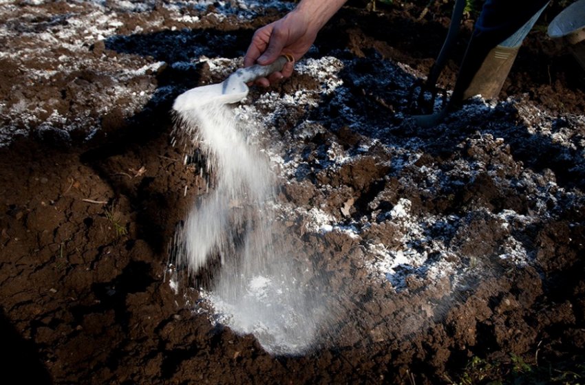 Ізвестковання ґрунту Ізвестковання ґрунту