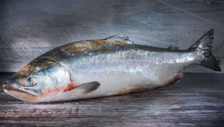 Заморожена горбуша Заморожена горбуша